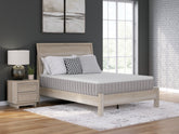 Hoover Furniture Outlet - Ashley Furniture - Terra Sleep Medium Queen Mattress - Queen - M52331
